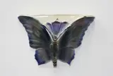 Cameron Brown, Butterfly wall vase
