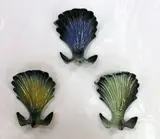 Cameron Brown, Three Fantail wall vases