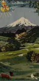 Feltex Carpets, Vintage Mount Egmont