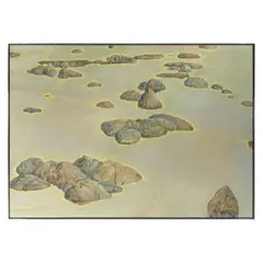Beach Rocks by Arthur Okamura, sold Oct 2022
