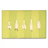 Roy Adzak, Broken Bottles