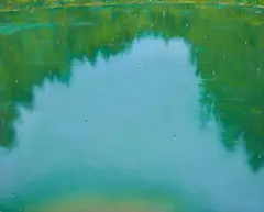 Arthur Okamura, Pond Holes