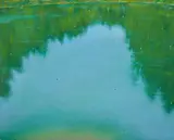 Arthur Okamura, Pond Holes
