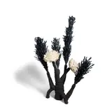 Junko Mori, Horsetail (Botany Series), wax-coated mild steel, patinated silicon bronze and fine silver 999