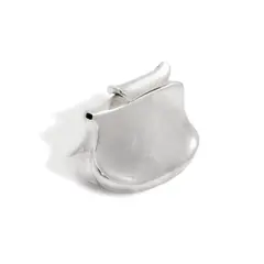 Chunghi Choo, Decanter, silver-plated electroformed copper, signed 'chunghi choo' and numbered 14/35