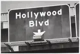 Eric Nash, Hollywood Blvd
