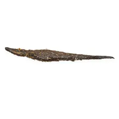 Frank Gehry, Illuminated Pendant Crocodile, designed for Rebecca's Restaurant, Venice, California, painted metal, glass