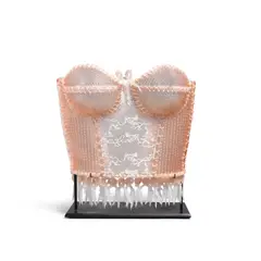 Look But Don't Touch Corset by Susan Taylor Glasgow, glass and mixed media, sold Mar 2022