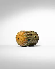 Yoichi Ohira, Unique Gioco del Fuoco Vase, blown, carved and polished mottled glass with clear murrines, engraved 'Yoichi Ohira mo