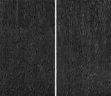 Alfred Haberpointner, Ohne Titel (Diptychon)