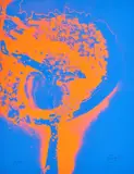 Otto Piene, Mai (Aus: Feuerflora), 1971, Farbserigrafie auf leichtem Karton