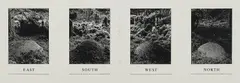 Hamish Fulton, East - South - West - North, 1989, Fotogravure