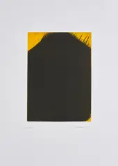 Schwarzes Haus by Arnulf Rainer, 2001, Farbradierung auf Hahnemühle (Wasserzeichen), sold Sep 2021