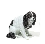 Meissen, Bologneser Hund, Porzellan, schwarz staffiert