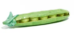 Erbsenschote by Meissen, Porzellan, in Grüntönen staffiert, sold May 2016