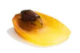 Amalric Walter, Kleine Pâte de Verre Schale mit Hirschkäfer