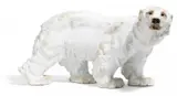 Meissen, Großer Eisbär, Ausformung 1991, Porzellan, sparsam farbig staffiert