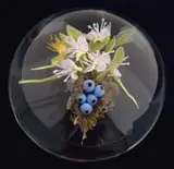 Paul Stankard, Paperweight