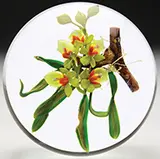 Paul Stankard, Paperweight