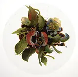 Paul Stankard, Honeybee Paperweight