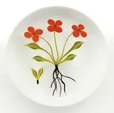 Paul Stankard, Floral Paperweight