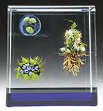 Botanical Sculpture by Paul Stankard, sold Nov 2015