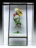 Botanical Sculpture by Paul Stankard, sold Jun 2016