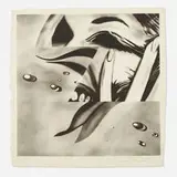 James Rosenquist, Zone, 1972, lithograph on Hodgkinson handmade