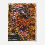 Ryan Foerster, Untitled, 2006-12, mixed media on C-print