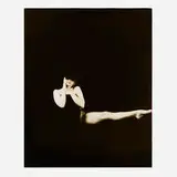 Milton H. Greene, High Kick from The Black Sitting, gelatin silver print
