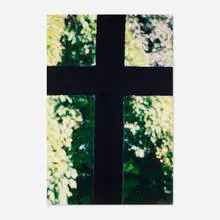 Rachel Howard, Inside Out No. 2, 2003, C-print