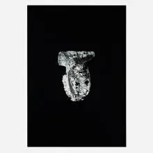 Terence Koh, Mein Tod, Mein Tod, 2005, Lambda print