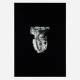 Terence Koh, Mein Tod, Mein Tod, 2005, Lambda print