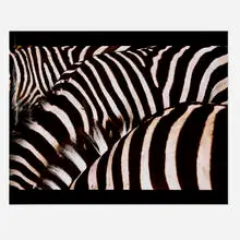 Diana Thater, Untitled Production Still, 1998, C-print