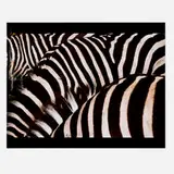 Diana Thater, Untitled Production Still, 1998, C-print