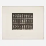 Eadweard Muybridge, Plate 354 (from the Animal Locomotion series), 1887, vintage collotype