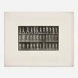 Eadweard Muybridge, Plate 355 (from the Animal Locomotion series), 1887, vintage collotype