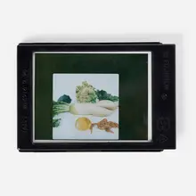Heather Rasmussen, Untitled, 2005, Fujifilm Instax Mini print in original cartridge
