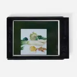Heather Rasmussen, Untitled, 2005, Fujifilm Instax Mini print in original cartridge