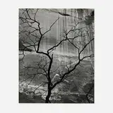 Brett Weston, Untitled (Glen Canyon)