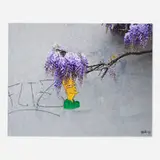 OakOak, Sideshow Bob, c. 2015, C-print