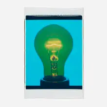 Amanda Means, Light Bulb 00016C (from the Color Polaroid series), 2001, Polaroid