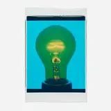 Amanda Means, Light Bulb 00016C (from the Color Polaroid series), 2001, Polaroid