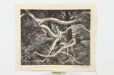 Assorted Artists, Lake, GIRL IN TREE and HOME PORT: THREE WORKS, signed in pencil lower margin