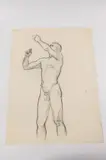 Allyn Cox, Male Nude Study for Sailor Lowering Sail, Charcoal on paper