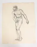 Allyn Cox, Male Nude Study of Man Looking Leftward, Charcoal on paper