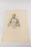 Allyn Cox, Male Nude Study for Christ Holding Lamb on His Shoulders, Charcoal on paper