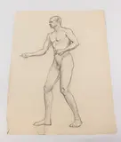 Allyn Cox, Male Nude Study for Founder, Charcoal on paper