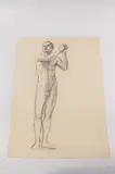 Allyn Cox, Male Nude Study for Man Playing Cymbal, Charcoal on paper