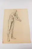 Allyn Cox, Male Nude Study of Man Turning Leftward, Charcoal on paper.